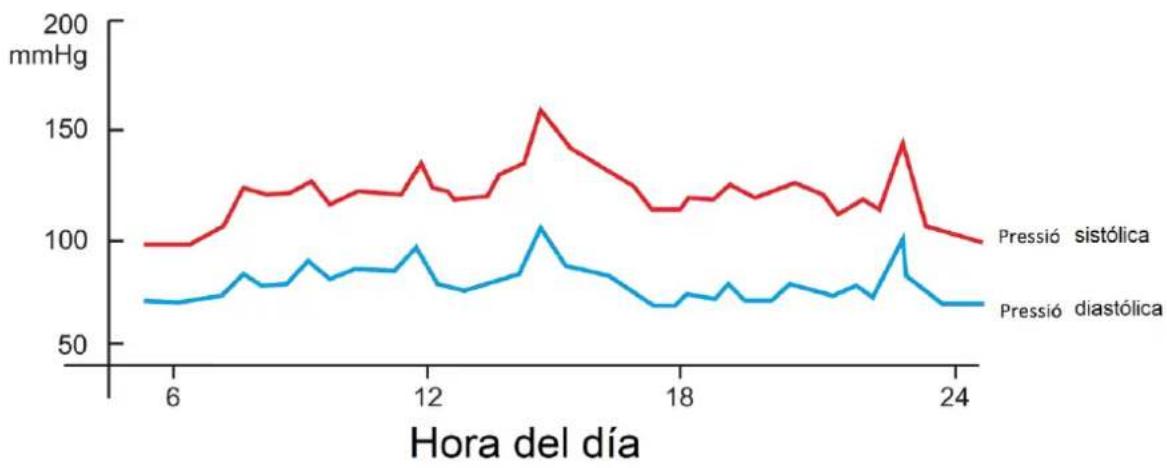 Orbegozo TES 4650 - Salut i pressió sanguínia - 1