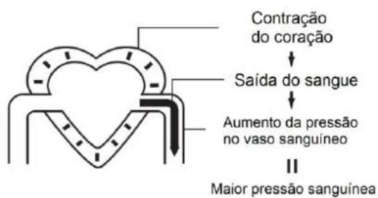 Orbegozo TES 4650 - A circulação sanguínea - 1