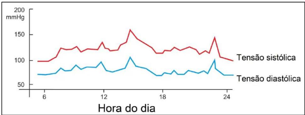 Orbegozo TES 4650 - A circulação sanguínea - 3