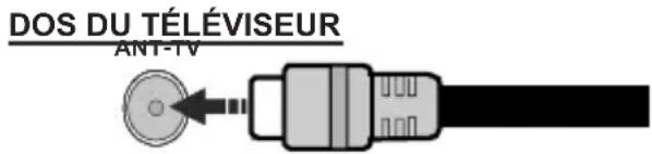 TELEFUNKEN TFL32HDSW19BC - Branchement de l'antenne - 1