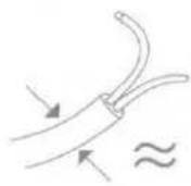 Scanstrut DS21BP - ES - 1