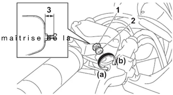 YAMAHA YFZ50 (2021) - Limiteur de vitesse du véhicule - 1