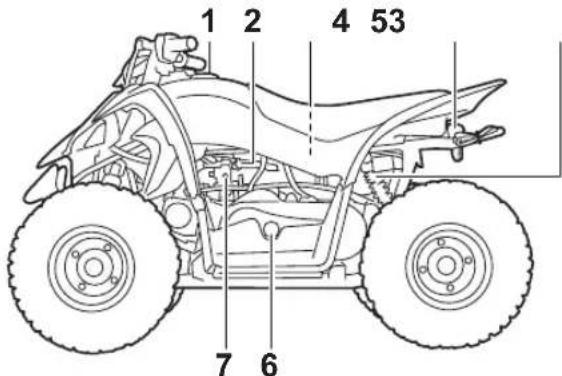 YAMAHA YFZ50 (2021) - DESCRIPTION - 1