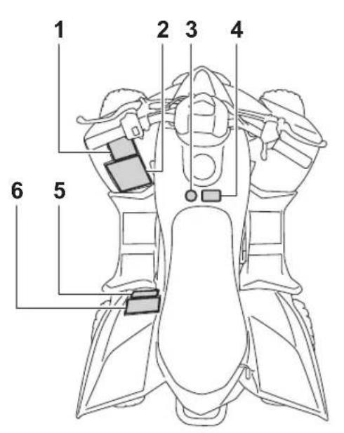 YAMAHA YFZ50 (2021) - EMPLACEMENT DES ÉTIQUETTES D'AVERTISSEMENT ET DE CARACTÉRISTIQUES - 1