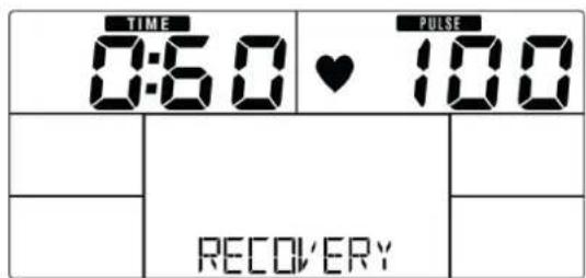 Darwin RB40 - Programmes - 6