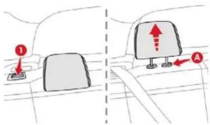 CITROEN C3 (2019) - Sièges arrière - 2