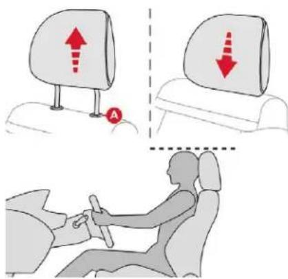 CITROEN C3 (2019) - Appuis-tête avant - 1
