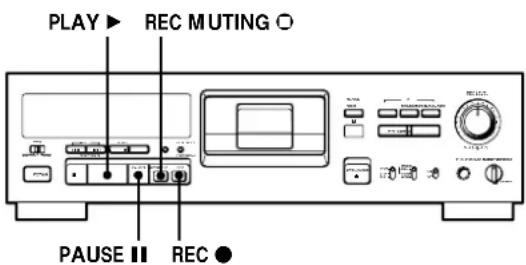 SONY PCMR300 - Inserting a Sound-Muted Section While Recording (Record Muting) - 1