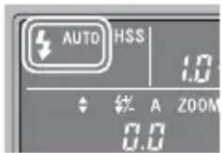 SONY HVLF43M - Program auto flash (The basics) - 3
