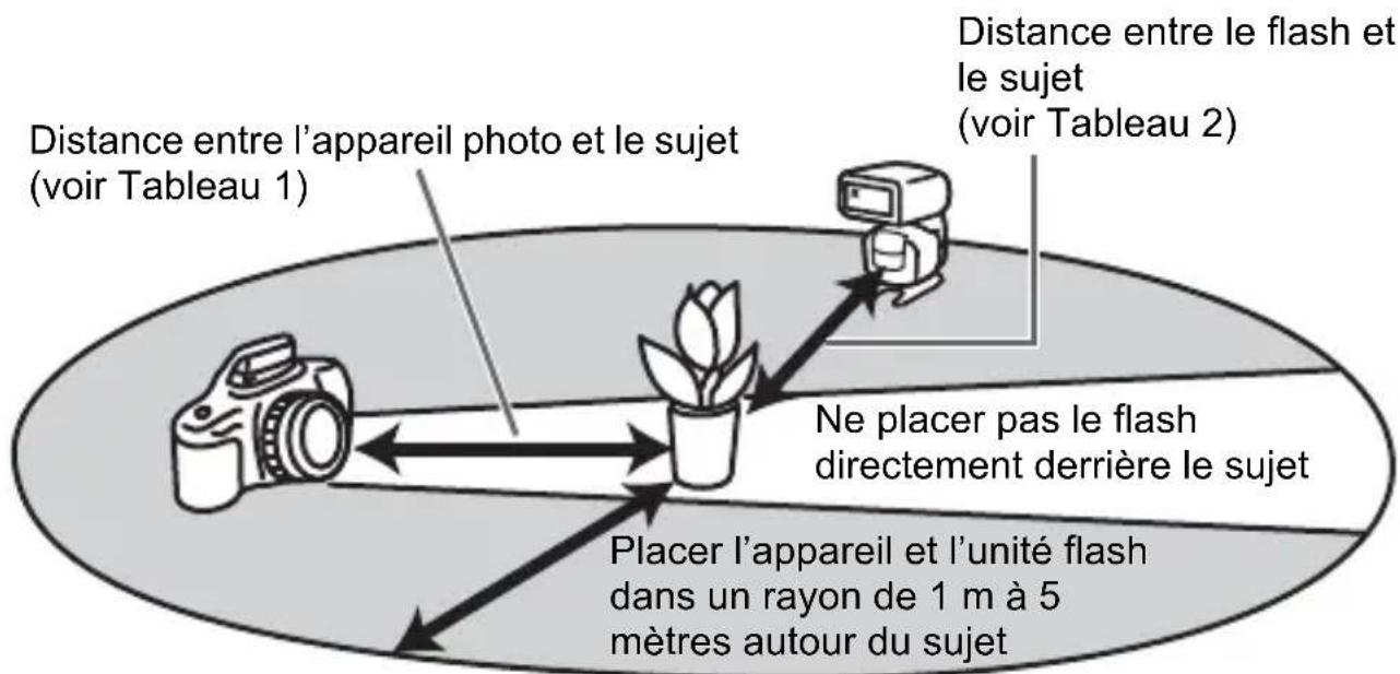 SONY HVLF43M - Portée du flash sans cordon - 1