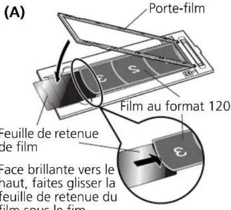 CANON CanoScan 8600F - Utilisation d'une feuille de retenue de film - 2