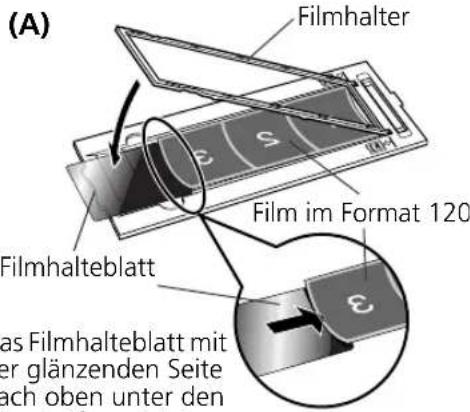 CANON CanoScan 8600F - Verwendendes Filmhalteblatts - 2