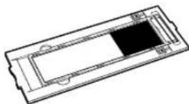 CANON CanoScan 8600F - Scanner e accessori - 5