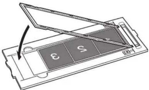 CANON CanoScan 8600F - Filmes de formatting 120 - 2