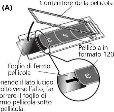 CANON CanoScan 8600F - Utilizzato di un foglio di fermo pellicola - 2