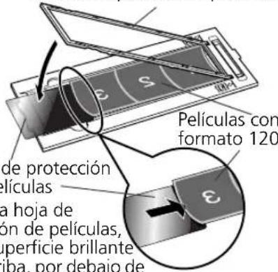 CANON CanoScan 8600F - Utilización de una hoja de protección depelículas - 2
