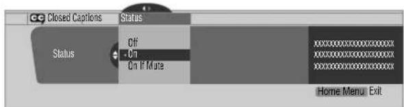 PIONEER PDP4340HD - Activating the closed caption - 1