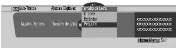 PIONEER PDP4340HD - Selección de los parámetros de la subtitulación digital - 1