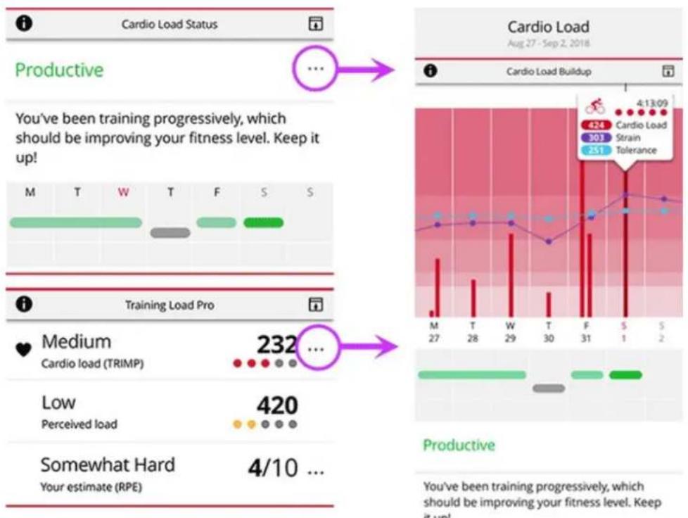 POLAR Pacer - Analyse à long terme dans l'application et sur le service web flow - 1