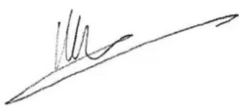 MPMAN BTC520 - CE - 1