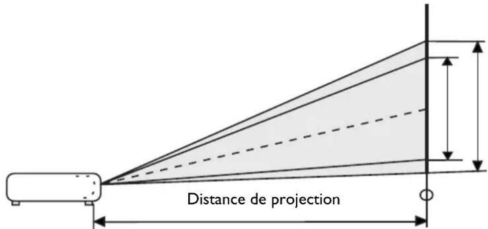 HP VP6100 - Taille de l'écran - 1