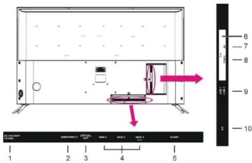 BRANDT B5006UHD - Back View - 1