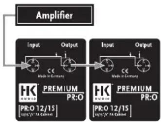 HK AUDIO Premium PR:O 210 - You have set up a satellite system and the mid/high units are working fine but no low-end signal is heard from the subwoofoers! - 4
