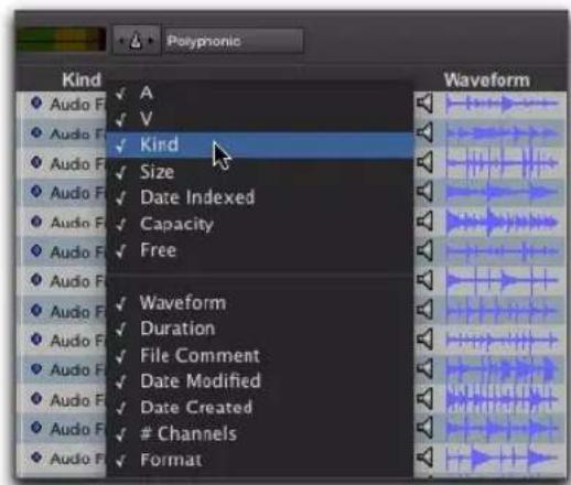 Avid Pro Tools 10.2 - Affichage et masquage des colonnes - 1