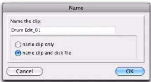 Avid Pro Tools 10.2 - Pour renommer un clip sur une piste : - 1