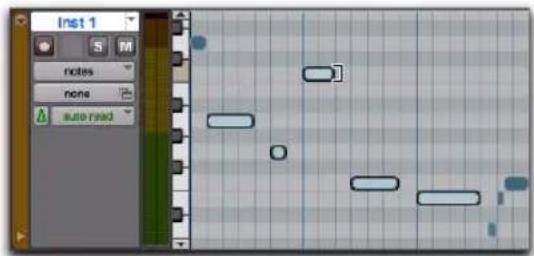 Inst 1 notes none auto-read