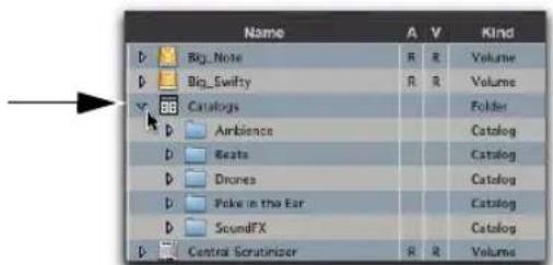 Avid Pro Tools 10.2 - Ouverture d'un navigateur de catalogues - 1