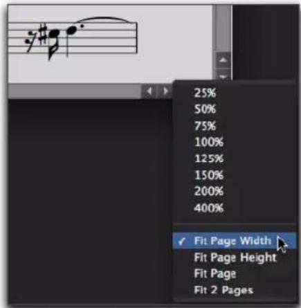 25% 50% 75% 100% 125% 150% 200% 400% Fit Page Width Fit Page Height Fit Page Fit 2 Pages