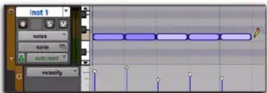 Avid Pro Tools 10.2 - Par exemple, pour insérer une série de notes avec des vélocités aléatoires dans la fenêtre Edit : - 1