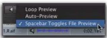 Loop Preview Auto-Preview ✓ Spacebar Toggles File Preview 1.Raif 0:02.16