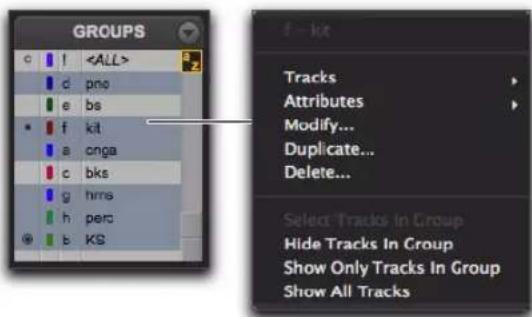 Avid Pro Tools 10.2 - Menus des ID de groupes de pistes et noms de groupes - 1