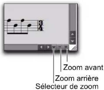 Zoom avant Zoom arrière Sélecteur de zoom