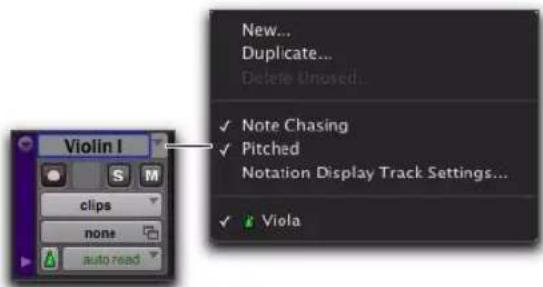 Avid Pro Tools 10.2 - Modification des hauteurs de piste - 1