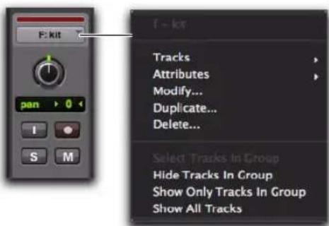 Avid Pro Tools 10.2 - Menus des ID de groupes de pistes et noms de groupes - 2