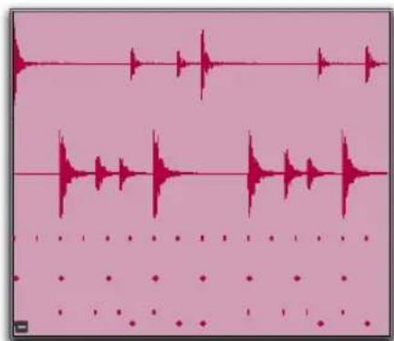 Avid Pro Tools 10.2 - Clip - 4