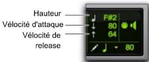 Hauteur Vélocité d'attaque Vélocité de release F#2 80 64 80