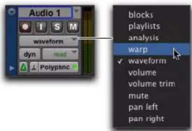 Avid Pro Tools 10.2 - Vues de piste Elastic Audio - 1