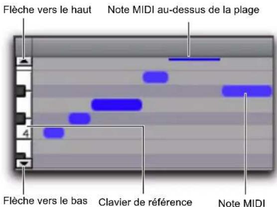Flèche vers le haut Note MIDI au-dessus de la plage 4 Flèche vers le bas Clavier de référence Note MIDI