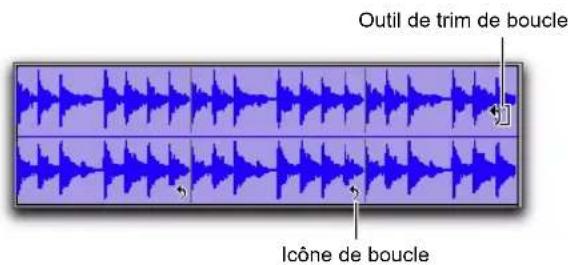 Outil de trim de boucle Icône de boucle