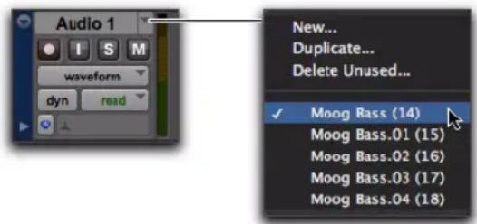 Audio 1 New... Duplicate... Delete Unused... waveform dyn read ✓ Moog Bass (14) Moog Bass.01 (15) Moog Bass.02 (16) Moog Bass.03 (17) Moog Bass.04 (18)