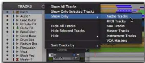 Avid Pro Tools 10.2 - Menu de la liste des pistes - 1