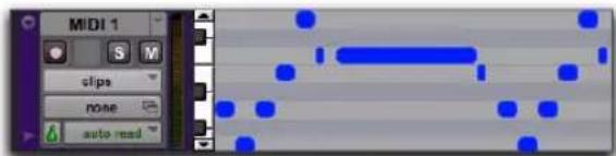 MIDI 1 S M slips none auto read