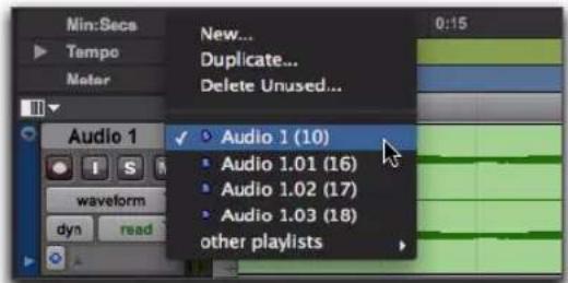 Min:Secs Tampo Meter New... Duplicate... Delete Unused... 0:15 Audio 1 ✓ Audio 1 (10) • Audio 1.01 (16) • Audio 1.02 (17) • Audio 1.03 (18) other playlists