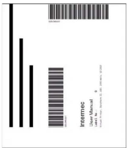 Intermec PM43 - Format Name Sample - 2