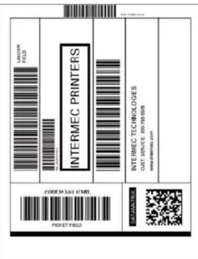 Intermec PM43 - Format Name Sample - 1
