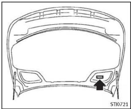 INFINITI Q70n (2014) - INSTALLATIONDELAPLAQUE D'IMMATRICULATIONFRONTALE - 1